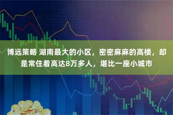 博远策略 湖南最大的小区，密密麻麻的高楼，却是常住着高达8万多人，堪比一座小城市