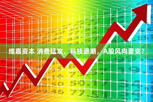 维嘉资本 消费猛攻、科技退潮，A股风向要变？